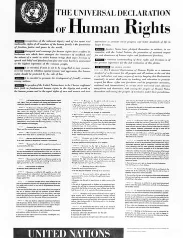 					Visualizza V. 1 N. 1-Ext (2019): Edição Extraordinária - Direitos Humanos.
				